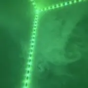 愛