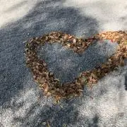 カヌの画像