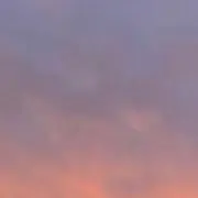 ぎゅうたんの画像
