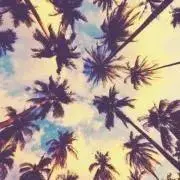 YOUの画像