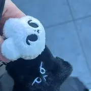 dodoの画像
