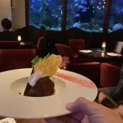 ぽんの画像