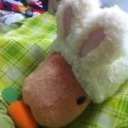 なゆちゃの画像