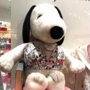 かなめーるの画像