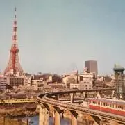 ひよこ