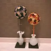 パティの画像