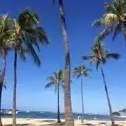 ことりの画像