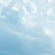 はせの画像