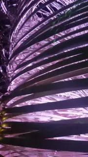 ハル*プロフ御一読願いますの画像