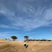 mの画像