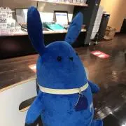 YURAの画像