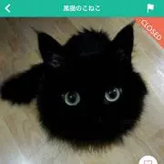Ryon Ryonの画像