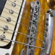 SA_gibsonの画像