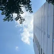やっさん