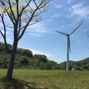 koshの画像