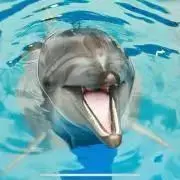 あん