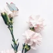 R.H