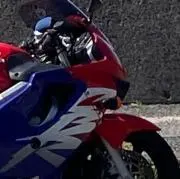 ミーコ&ターボの画像