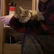 knの画像