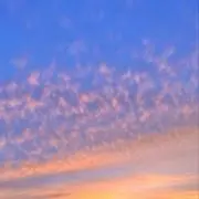そよんの画像