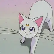 viviの画像