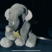 にょきにょきの画像