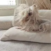 nanlyの画像