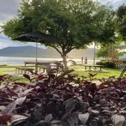丘の上の画像