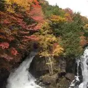 奏☆プロフ確認推奨の画像