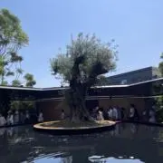ぴーたろー。