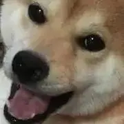 スズリンの画像
