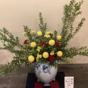 サキホコレの画像