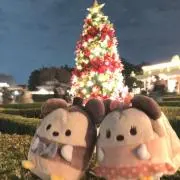 いっちーの画像