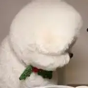 °⌓°
