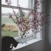 lehtiäの画像