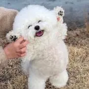 コンナン君