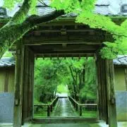 Aiponnの画像