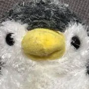 ogawaの画像
