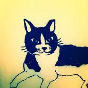 sandyの画像