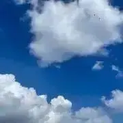 ミック