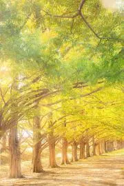 ☺︎〔購入前プロフ必読〕の画像
