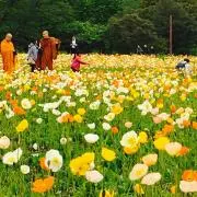 iamの画像