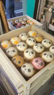 tatsunootoshigoの画像