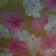 hanakouの画像