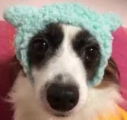 Lilyの画像