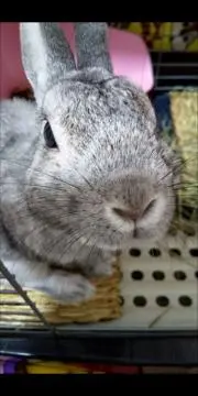 プーさん＊断捨離中＊の画像