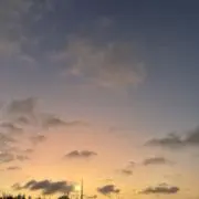 Meowの画像