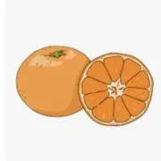 みかんの画像