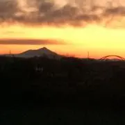 とらおの画像
