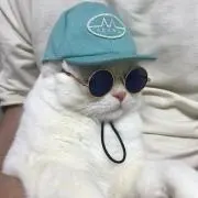 CAT93の画像